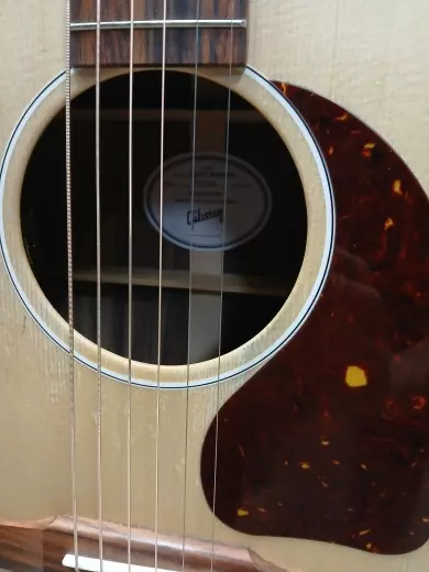 Gibson - ACMCRS4RSANNH 2