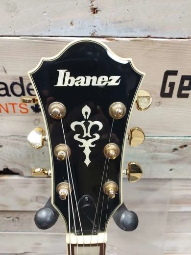 Ibanez - Artcore Jazz box AG95-DBS 2
