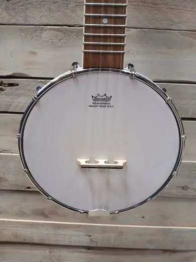 Denver - DUKE-BANJO 2