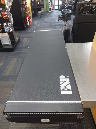 ESP Guitars - Urban Camo EIIMIINTUC 2