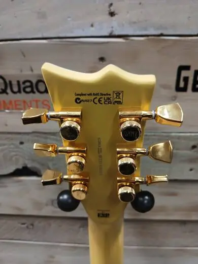 ESP Guitars - LEC1000TCTMVGS 2