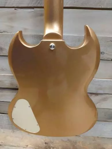 Epiphone - EGMUSANH 2