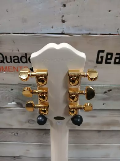Epiphone - EISC3CWGM 6