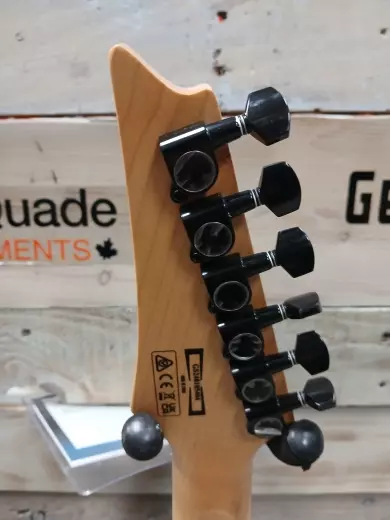 Ibanez - GRG320FATEB 6