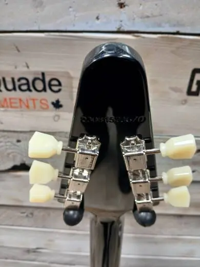 Epiphone - EIFVEBNH 2