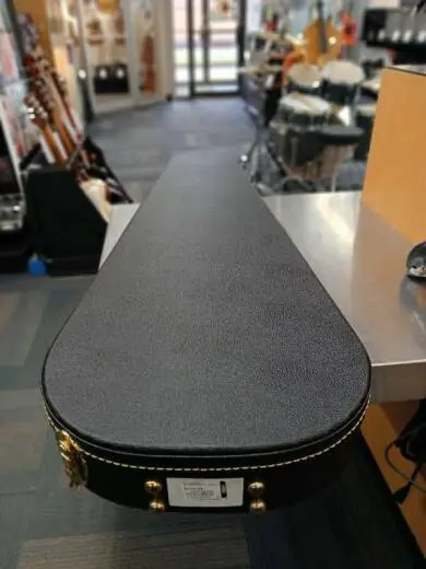 Epiphone - EISSBEBNH 2