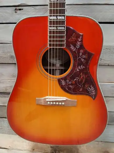 Epiphone - EEHBFCNH 2