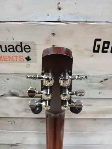 Seagull Guitars - S41831 6