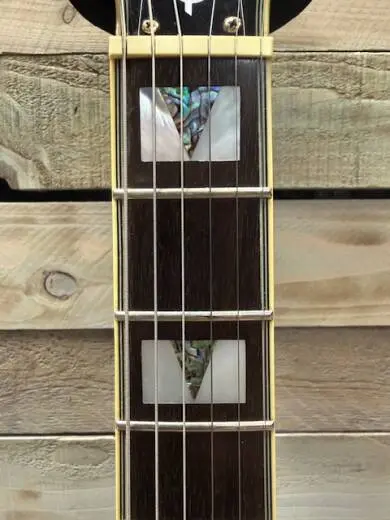 Epiphone - SHERVSGH 2