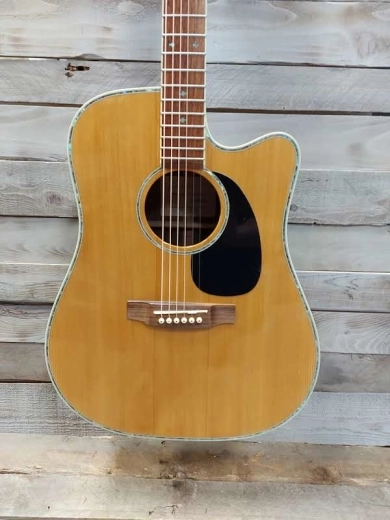 Takamine - EG360SC 2