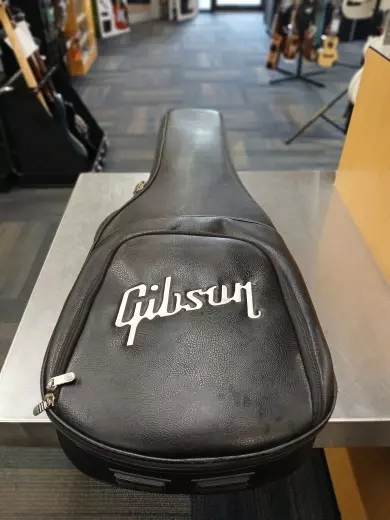 Gibson - LPTR00STNH 2