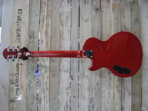 Epiphone - ELPJ+HSNH 2