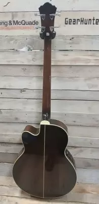 Ibanez - AEB10EDVS 2