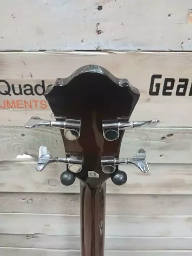 Ibanez - AEB10EDVS 2