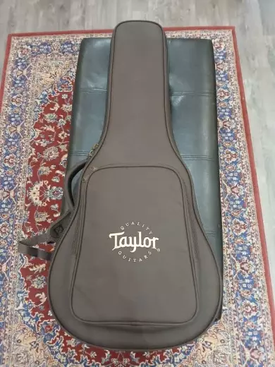 Taylor Guitars - GS MINI-E KPLUS 8