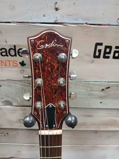 Store Special Product - Godin Guitars - G48458