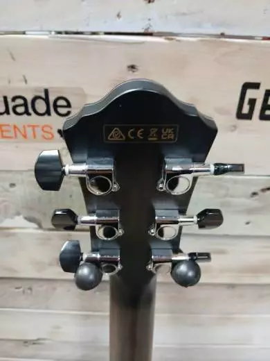 Ibanez - AEWC400TKS 2