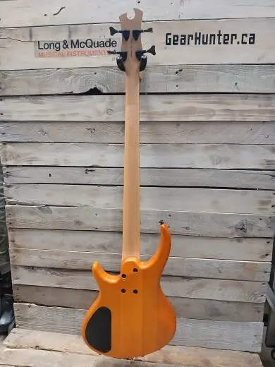 Epiphone - TBD4TABH 2