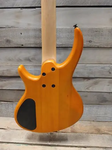 Epiphone - TBD4TABH 2