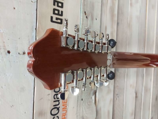 Epiphone - DR212NACH 2