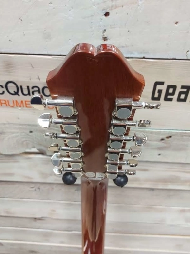 Epiphone - DR212NACH 2