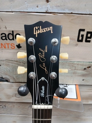 Store Special Product - Gibson - LPTR00SHNH