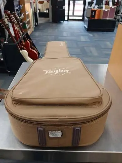 Taylor Guitars - GS MINI-E RW V2 2