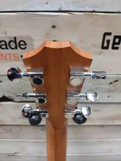 Taylor Guitars - GS MINI-E RW V2 2