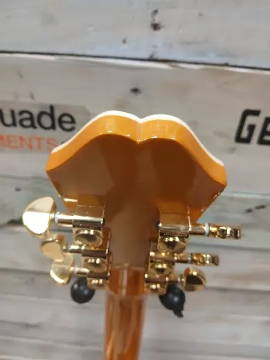 Epiphone - EJ200CEVNGH 2