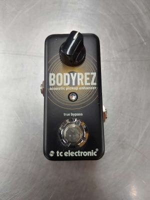 Gear Hunter | TC Electronic - BODYREZ