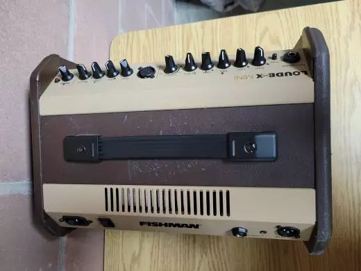 Fishman - Loudbox Mini 2