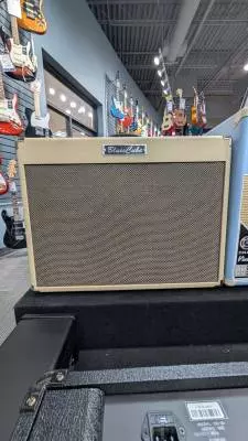 ROLAND BLUES CUBE ARTIST