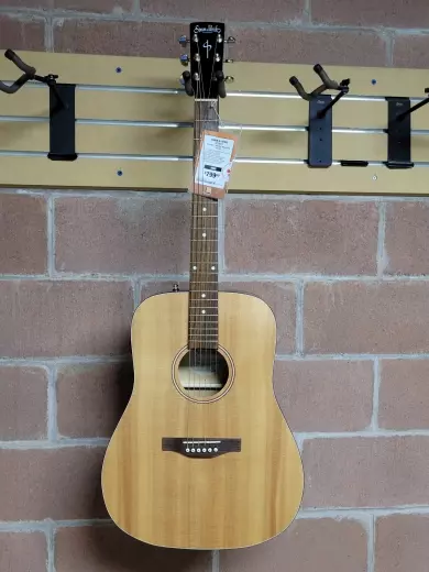 Simon & Patrick - Woodland Concert Dreadnought