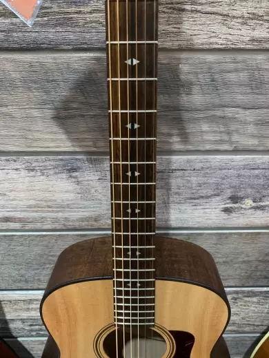 Taylor Guitars - GT URBAN ASH 2