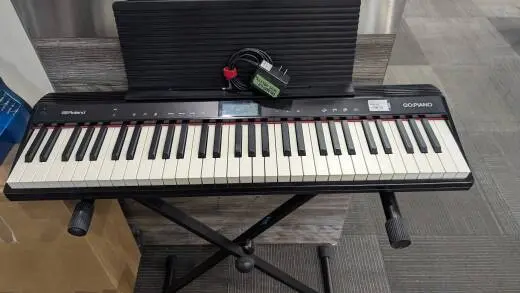 Roland - GO-61P