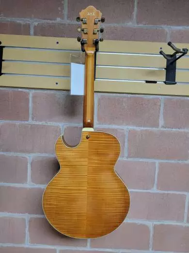 Ibanez - Artcore Expressionist 2