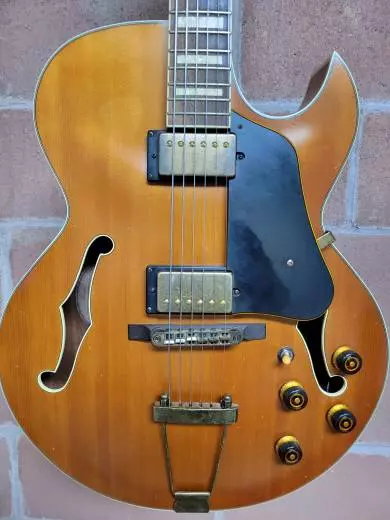 Ibanez - Artcore Expressionist 2