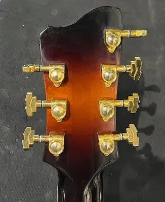 Eastman Archtop 7 String 2