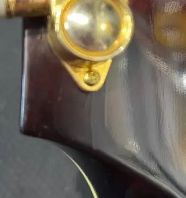 Eastman Archtop 7 String 2