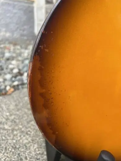 Eastman Guitars - SB55/V-SB 2