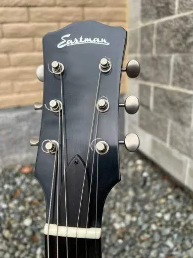 Eastman Guitars - SB55/V-SB 2