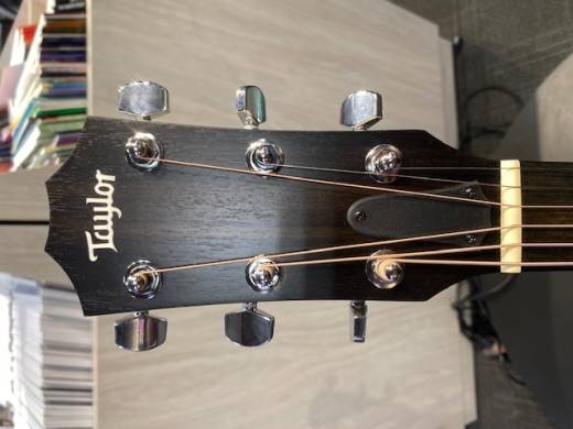 Taylor Guitars - 110E W V2 3