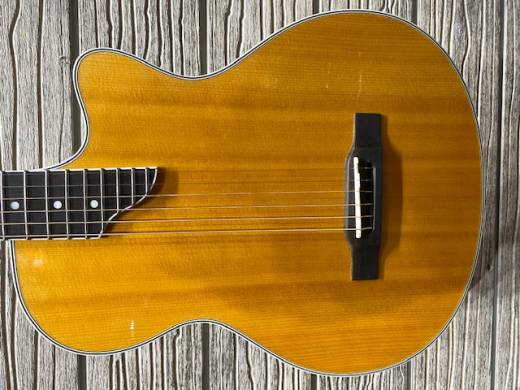 Epiphone SST Coupe - Natural 2