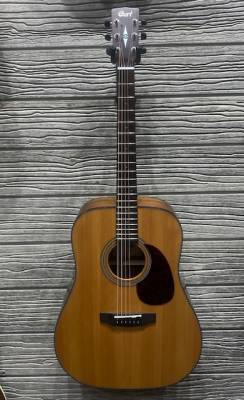 Cort Earth 20th Anniversary Model Dreadnought Acoustic