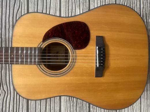 Cort Earth 20th Anniversary Model Dreadnought Acoustic 2