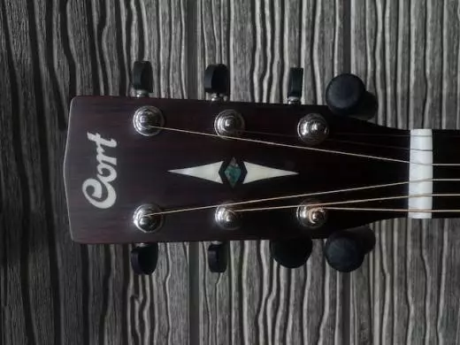 Cort Earth 20th Anniversary Model Dreadnought Acoustic 2