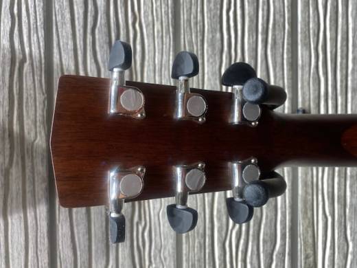 Cort Earth 20th Anniversary Model Dreadnought Acoustic 4