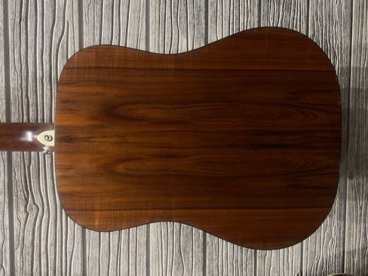 Cort Earth 20th Anniversary Model Dreadnought Acoustic 5