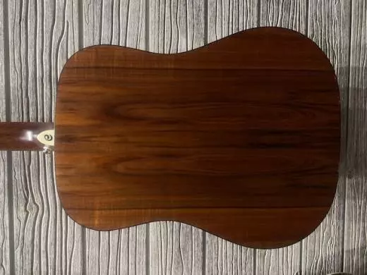 Cort Earth 20th Anniversary Model Dreadnought Acoustic 2