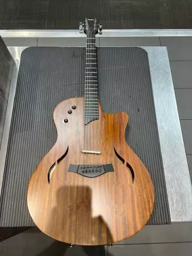 Taylor Guitars - T5-LTD09